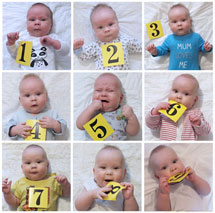 Baby-Collage