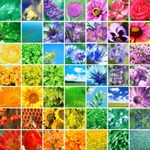 Regenbogen-Collage